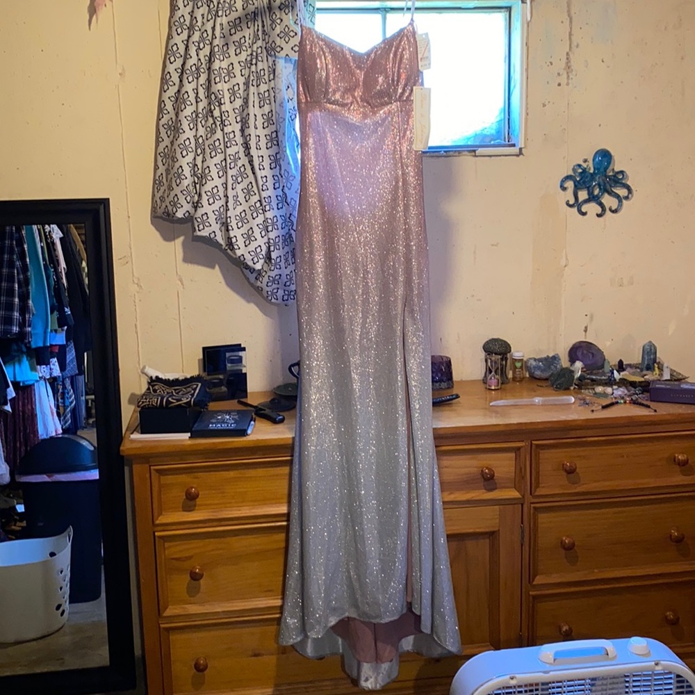 Pink and Silver Dress